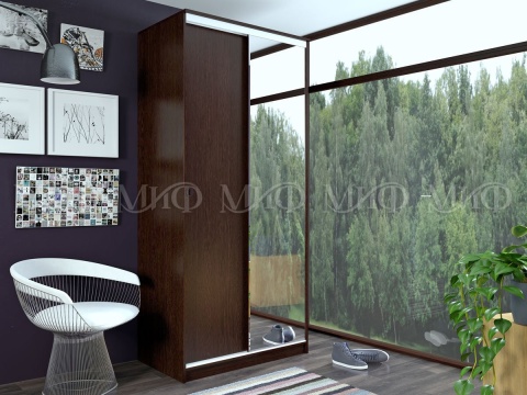 Шкаф-Купе Альянс (Ш-1000/1500/2000 х Г-600 х В-2200 мм)/Разные Цвета